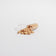 Bee Pearl Capsules Natural Immunity, Energy, And Skin Health Support