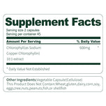 BSYS Moringa Capsules  Antioxidant & Anti-Inflammatory Support  Blood Sugar Health Aid  Cholesterol Balance Formula  Heart Wellness Support  Immune Boost & Natural Defense  Daily Superfood Suppl